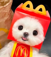 McDOG logo