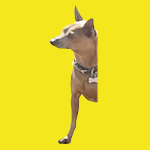 GOODBOY logo