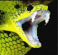 SNAK logo