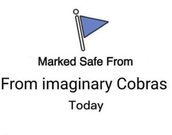 FLAG logo