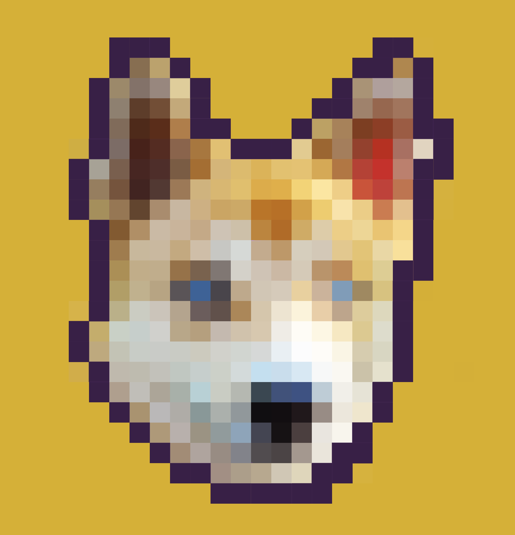 HI logo