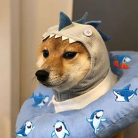 SHARK logo