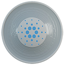 CNT logo