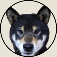 Haru logo