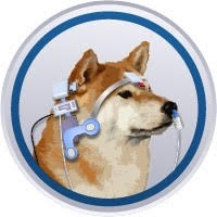 WOZ logo