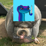 NikeSnek logo