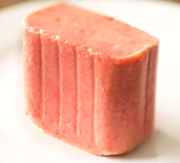 SPAM logo