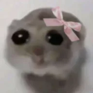 HAMMY logo
