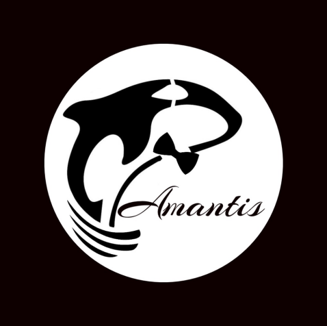 AMNTS logo