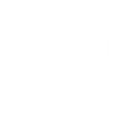 CDS logo