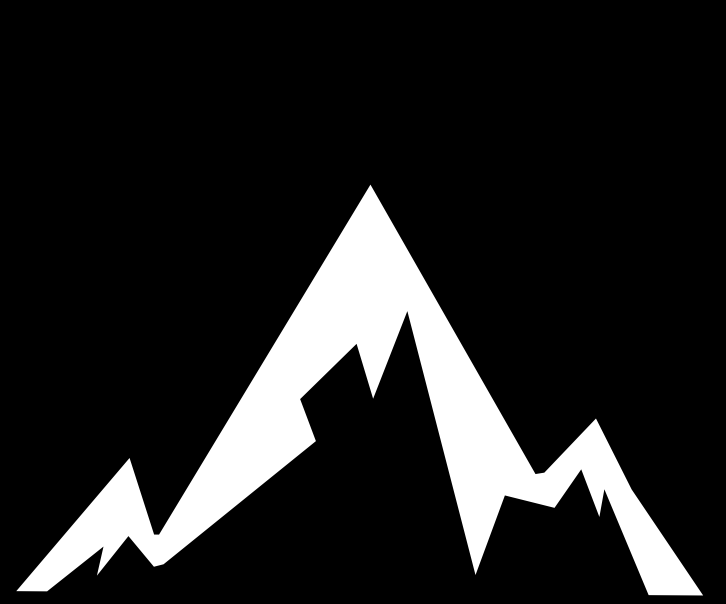 MNT logo