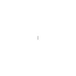 POV logo