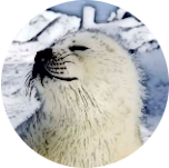 BSEAL logo