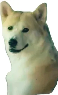 CANAN logo