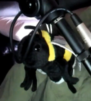 BEE logo
