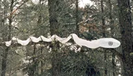 SNEK logo