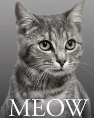 meow logo