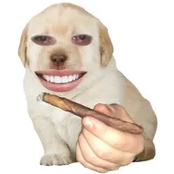 $BOOF logo