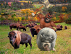 HOG logo