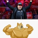ELONDOGE logo