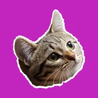 Riki logo