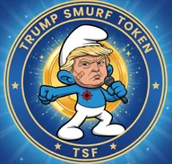 TSF logo