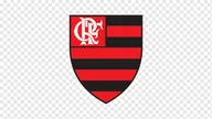 FLAMENGO logo
