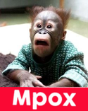 MPOX logo