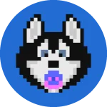 bHOSKY logo