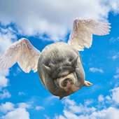 AirNike logo