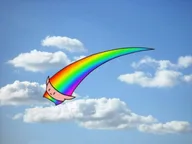 SER logo