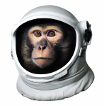 AMONKEY logo