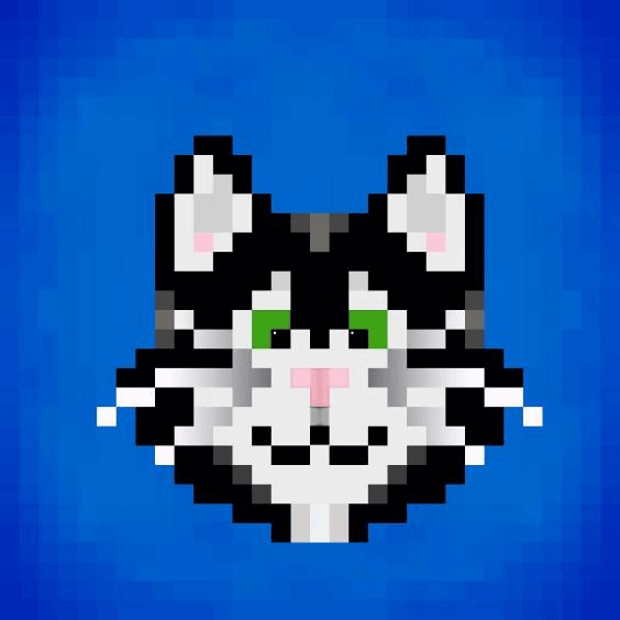 CATSKY logo