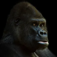MONKE logo