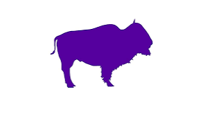 $PURP logo