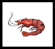 SHRIMP logo
