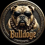 BDOGE logo