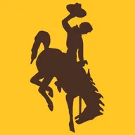 WYO logo