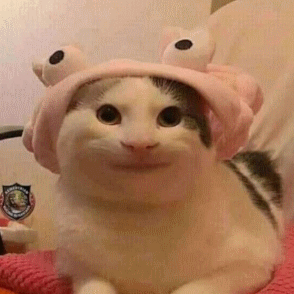 MEOWZ logo