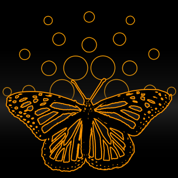 CDFLY logo