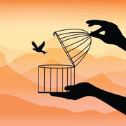FLY logo