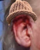 EAR logo
