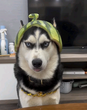MOSKY logo