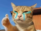 KETCAT logo