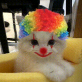 CLOWN logo