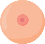 Boobies logo