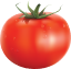 TCOIN logo