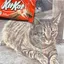 KITKAT logo