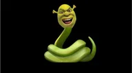 SHNEK logo