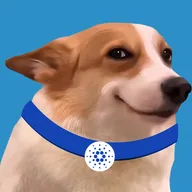 ADADOG logo